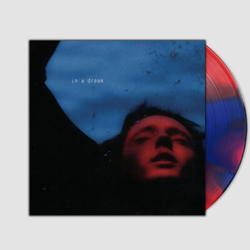 Troye Sivan vinyl レコード 限定盤 サイン入り Troye Sivan vinyl レコード 限定盤 サイン入り Troye Sivan In
